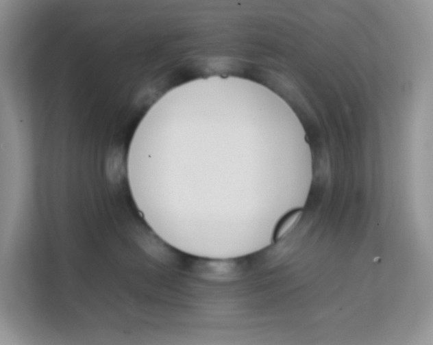 X0000111390478200907311117