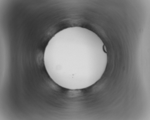 X0000111390480200907311117