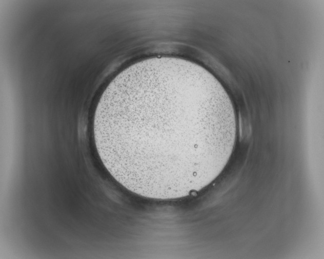 X0000111390483200907311117