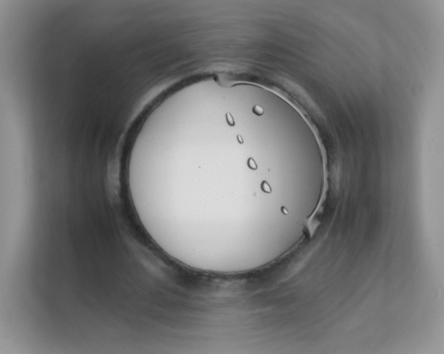 X0000111390484200907311117