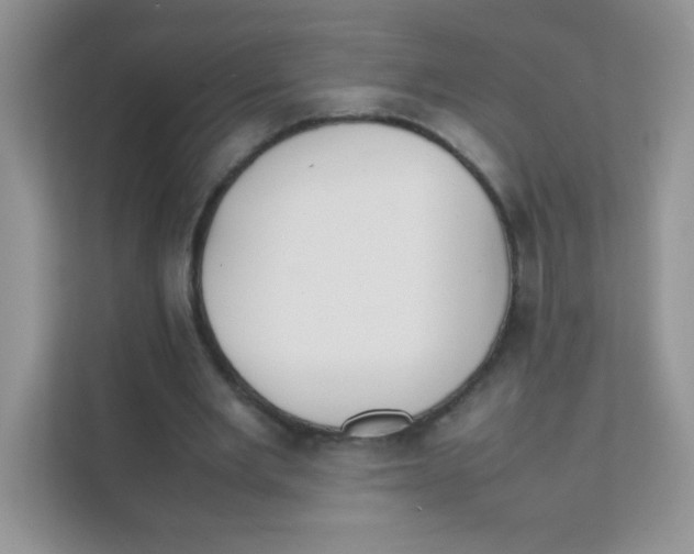 X0000111390485200907311117