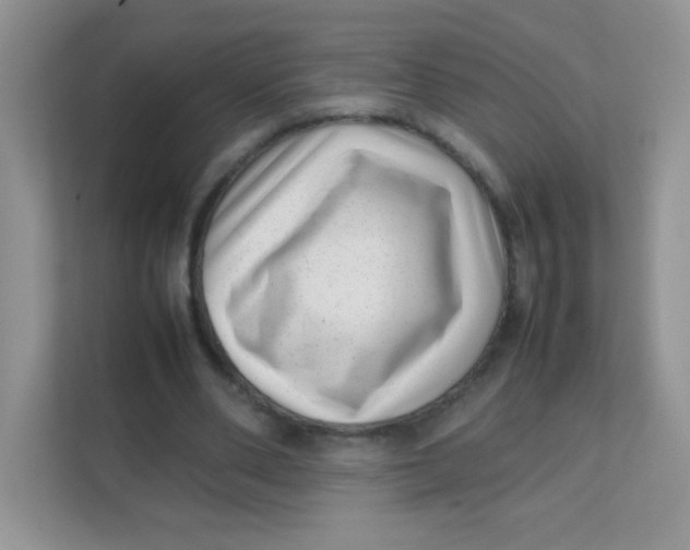 X0000111390486200907311117