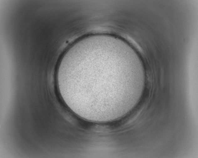 X0000111390487200907311117