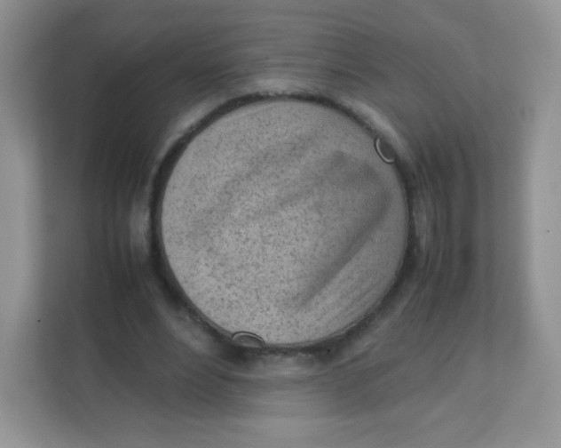 X0000111390488200907311117