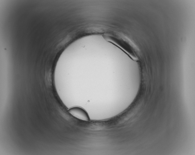 X0000111390489200907311117