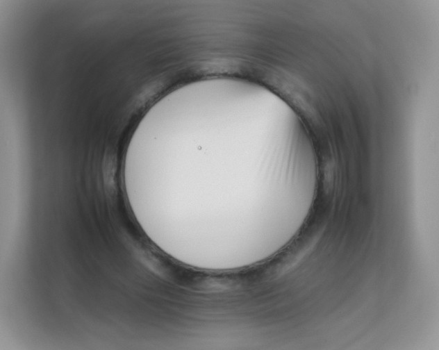 X0000111390490200907311117