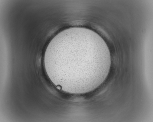 X0000111390491200907311117