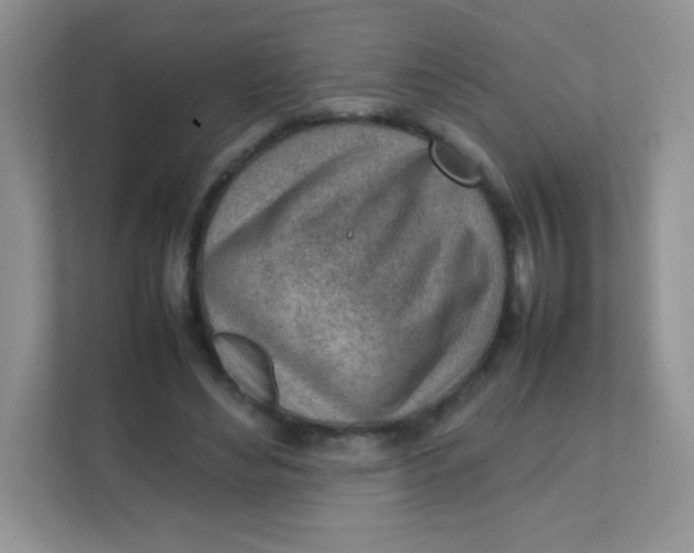 X0000111390492200907311117