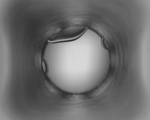 X0000111390493200907311117