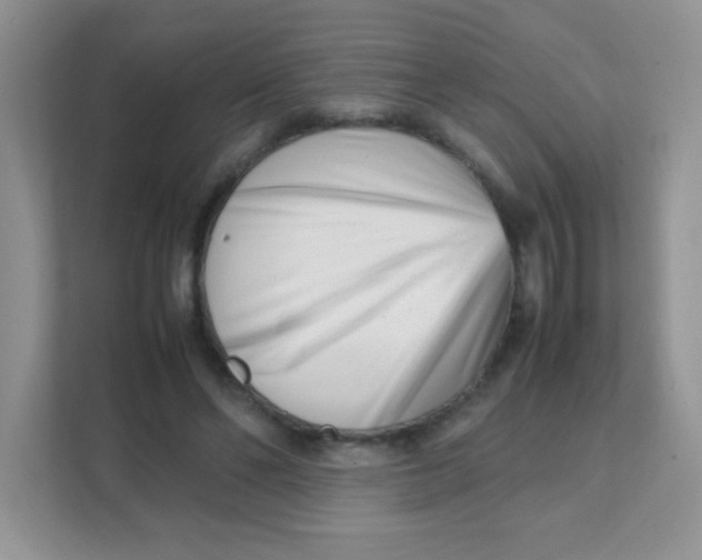 X0000111390494200907311117