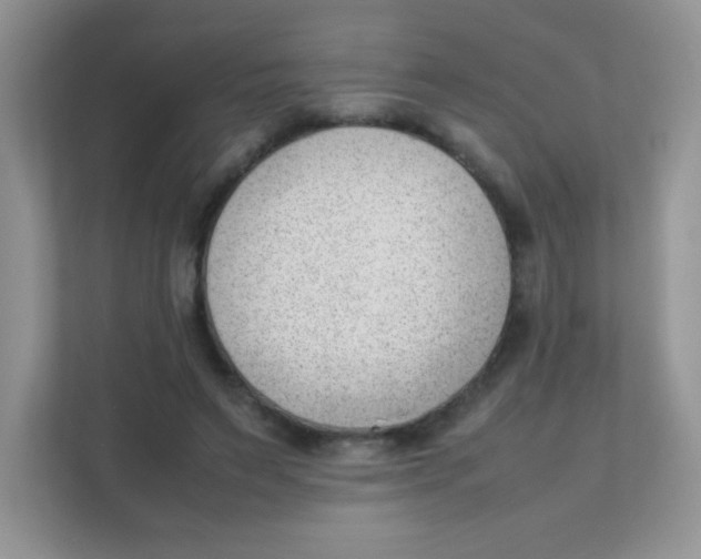 X0000111390495200907311117