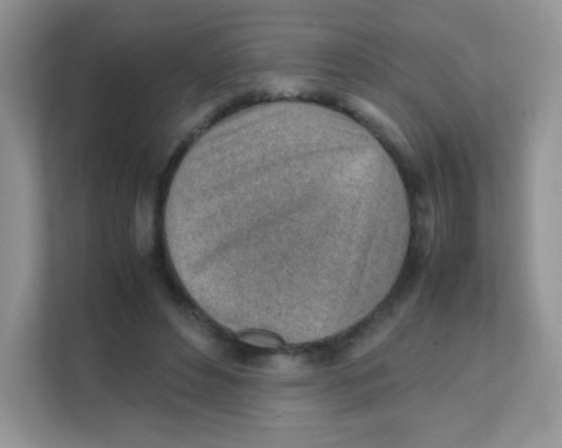 X0000111390496200907311117