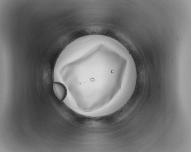 X0000111390498200907311117