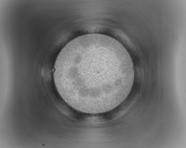 X0000111390499200907311117