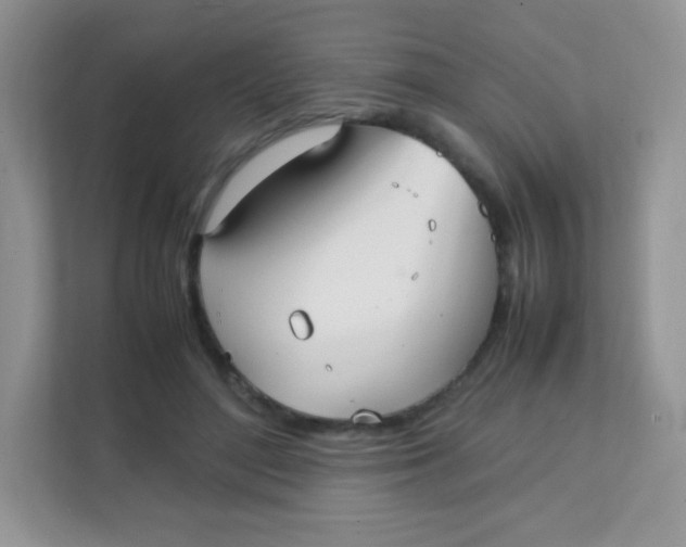 X0000111390500200907311117