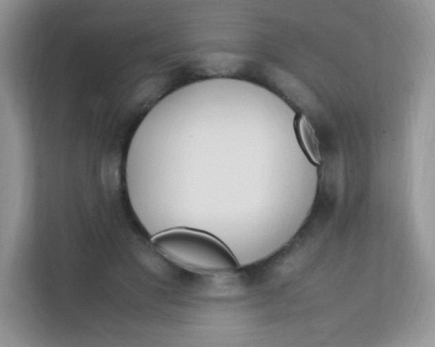 X0000111390501200907311116