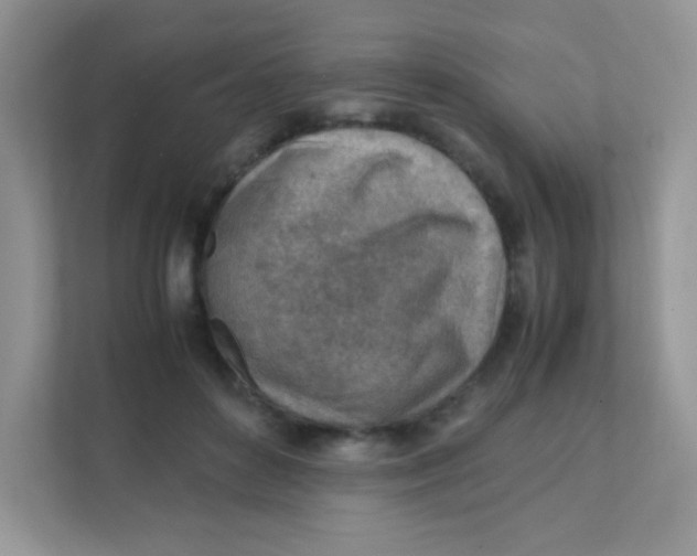 X0000111390504200907311116