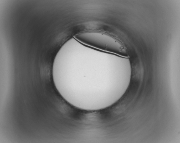 X0000111390505200907311116