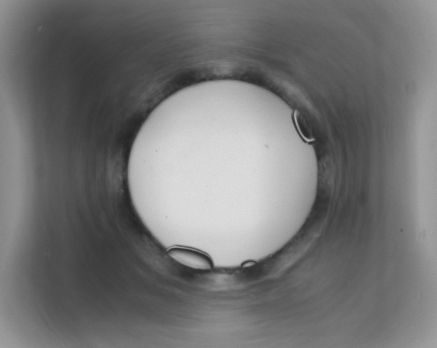 X0000111390509200907311116