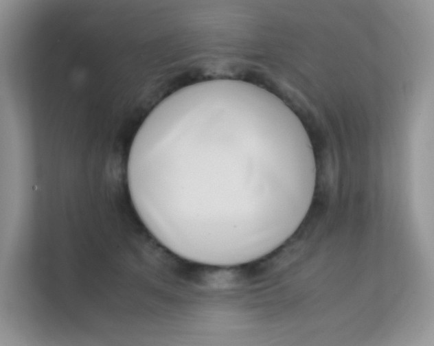 X0000111390513200907311116