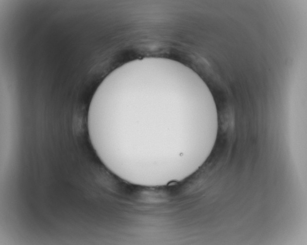 X0000111390515200907311116