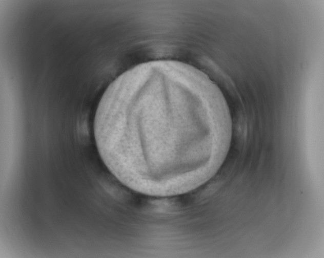 X0000111390516200907311116