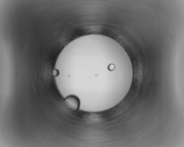 X0000111390518200907311116