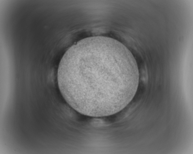 X0000111390519200907311116