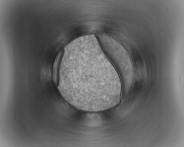 X0000111390520200907311116