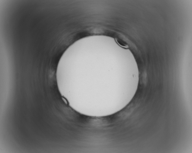 X0000111390521200907311116