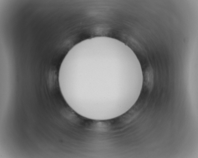 X0000111390522200907311116