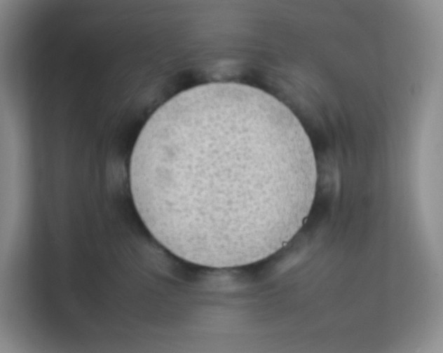 X0000111390523200907311116