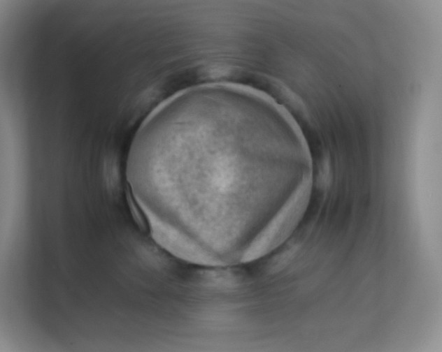 X0000111390524200907311116