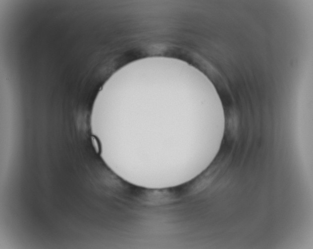 X0000111390525200907311116