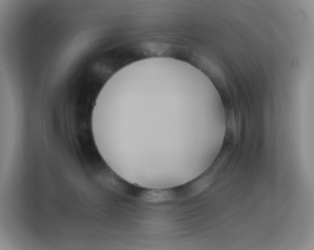 X0000111390526200907311116