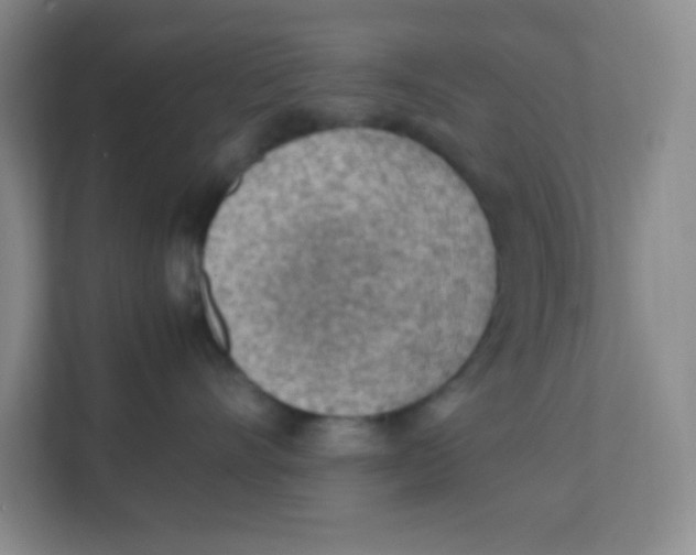 X0000111390528200907311116