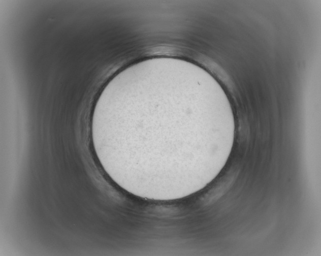 X0000111390529200907311116