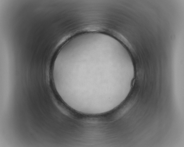 X0000111390530200907311116