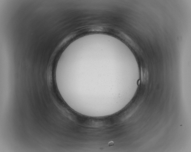 X0000111390531200907311116