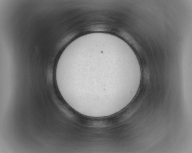 X0000111390533200907311116