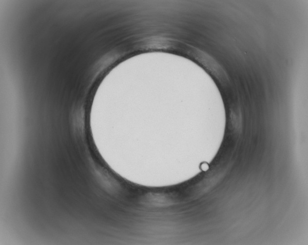 X0000111390534200907311116