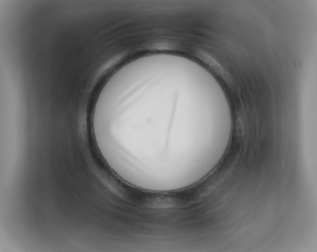 X0000111390535200907311116