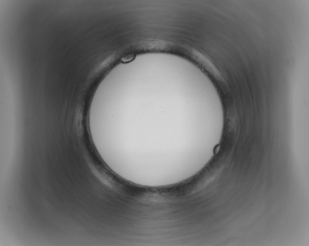 X0000111390538200907311116