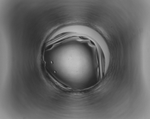 X0000111390540200907311116