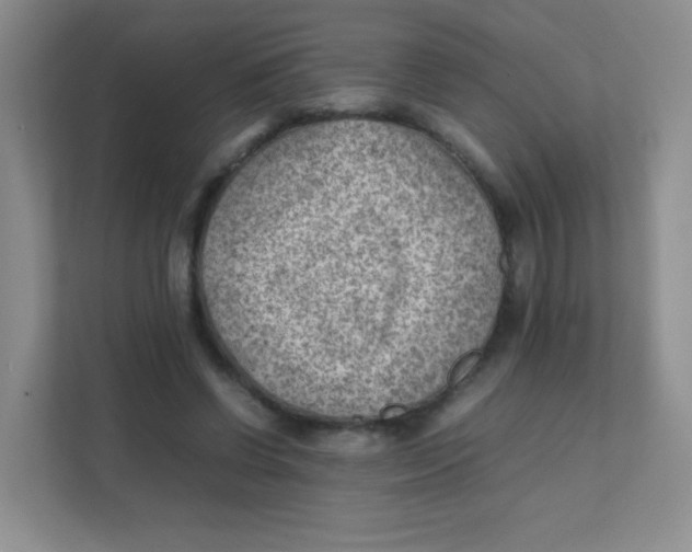 X0000111390542200907311116