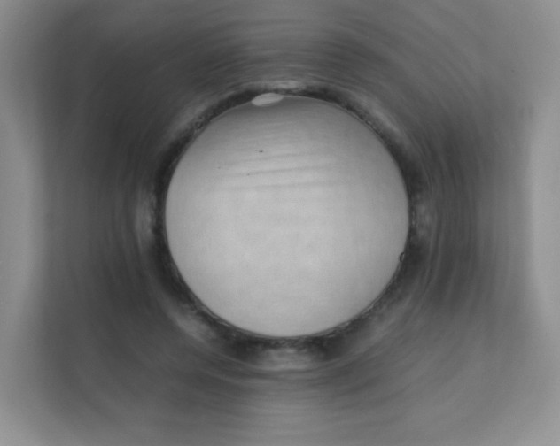 X0000111390544200907311116