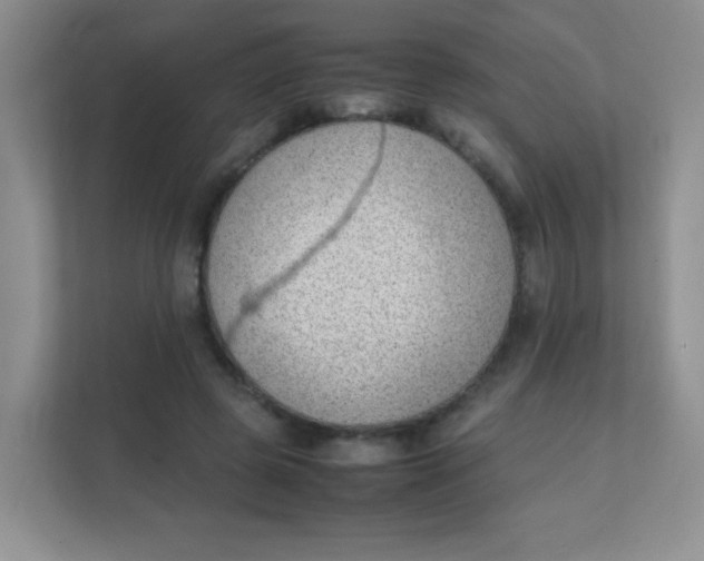 X0000111390545200907311116