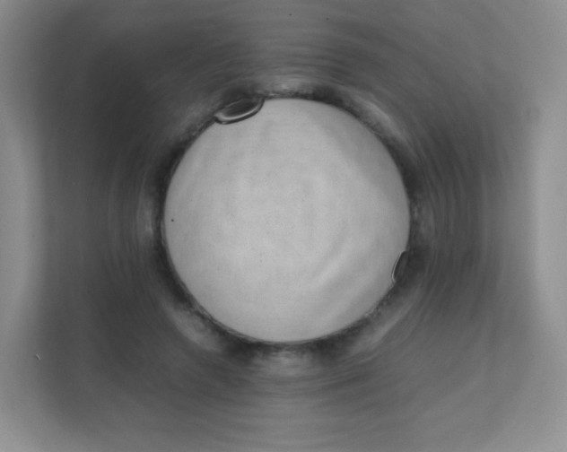 X0000111390546200907311116