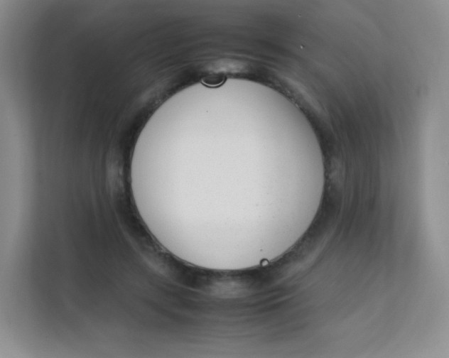 X0000111390547200907311116