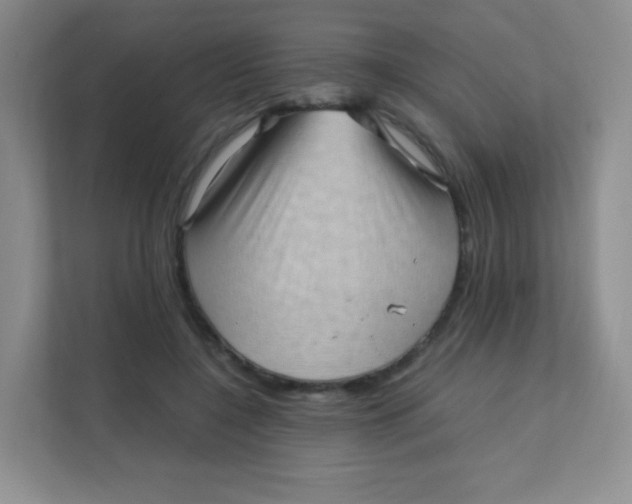 X0000111390548200907311116